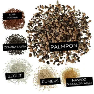 Podłoże do palm LECHUZA PALMPON