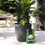 Podłoże Lechuza PON XXL substrat mineralny gruboziarnisty 25l