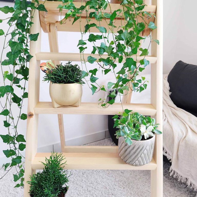 Drewniany regał na kwiaty drabina duża