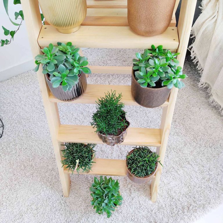 Drewniany regał na kwiaty drabina duża