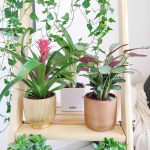 Drewniany regał na kwiaty drabina mała