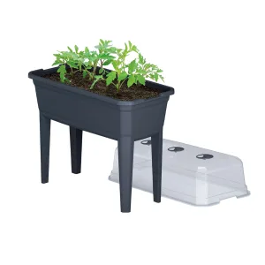 Rozsadnik - szklarnia stojąca do roślin