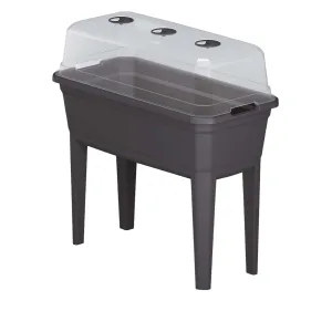 Rozsadnik - szklarnia stojąca do roślin