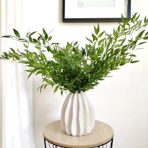 Ruskus włoski świeży - bukiet zielone gałązki