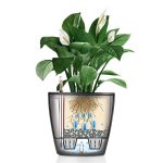 Doniczka plastikowa Lechuza orchidea szary