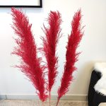 Trawa pampasowa czerwona (Cortaderia) 130cm