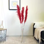 Trawa pampasowa czerwona (Cortaderia) 130cm