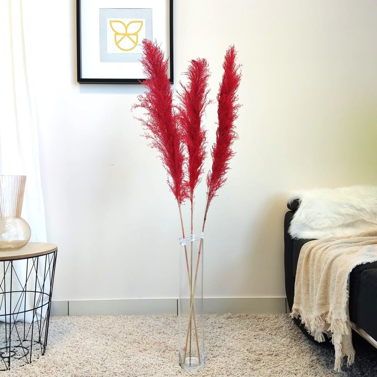 Trawa pampasowa czerwona (Cortaderia) 130cm