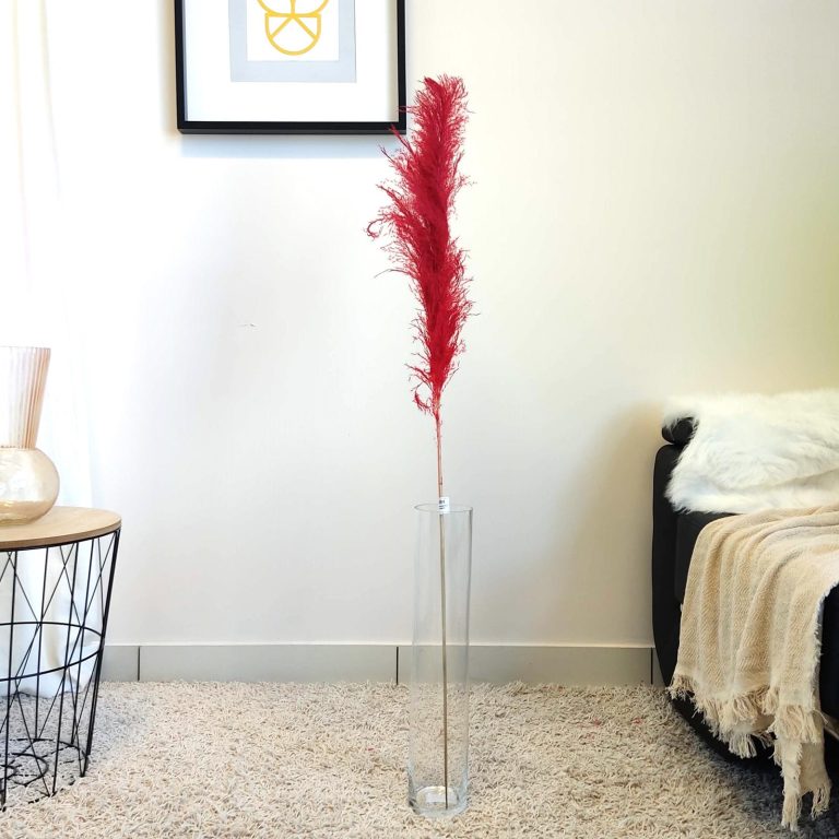 Trawa pampasowa czerwona (Cortaderia) 130cm