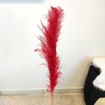 Trawa pampasowa czerwona (Cortaderia) 130cm