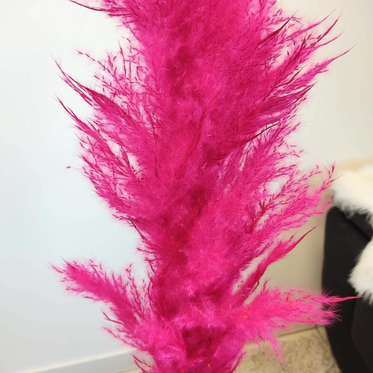 Trawa pampasowa różowa (Cortaderia) 130cm