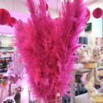 Trawa pampasowa różowa (Cortaderia) 130cm