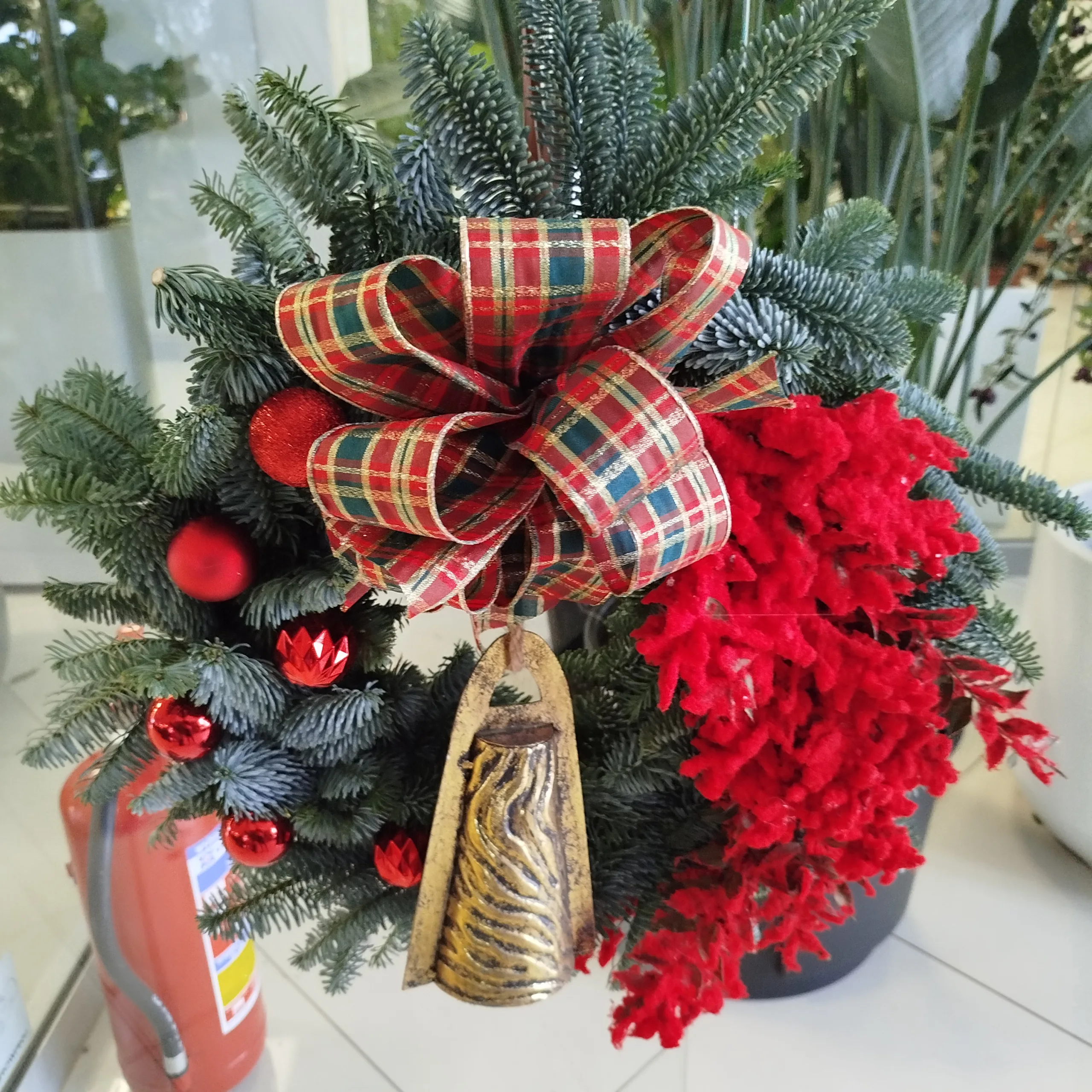 Wianek świąteczny bożonarodzeniowy żywy - 50cm - ręcznie robiony