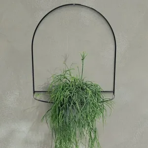 Kwietnik wiszący Łuk duży