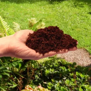 Włókno kokosowe rozluźnione - torf kokosowy (Coco Peat) 5L