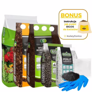 6w1 do BIGOSU - zestaw do mieszanki 'bigos' z ziemi