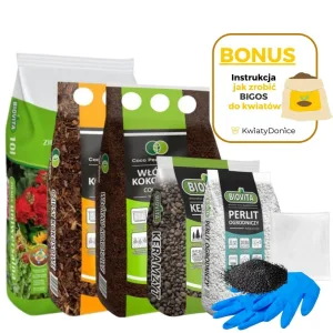 6w1 do BIGOSU - zestaw do mieszanki 'bigos' z ziemi