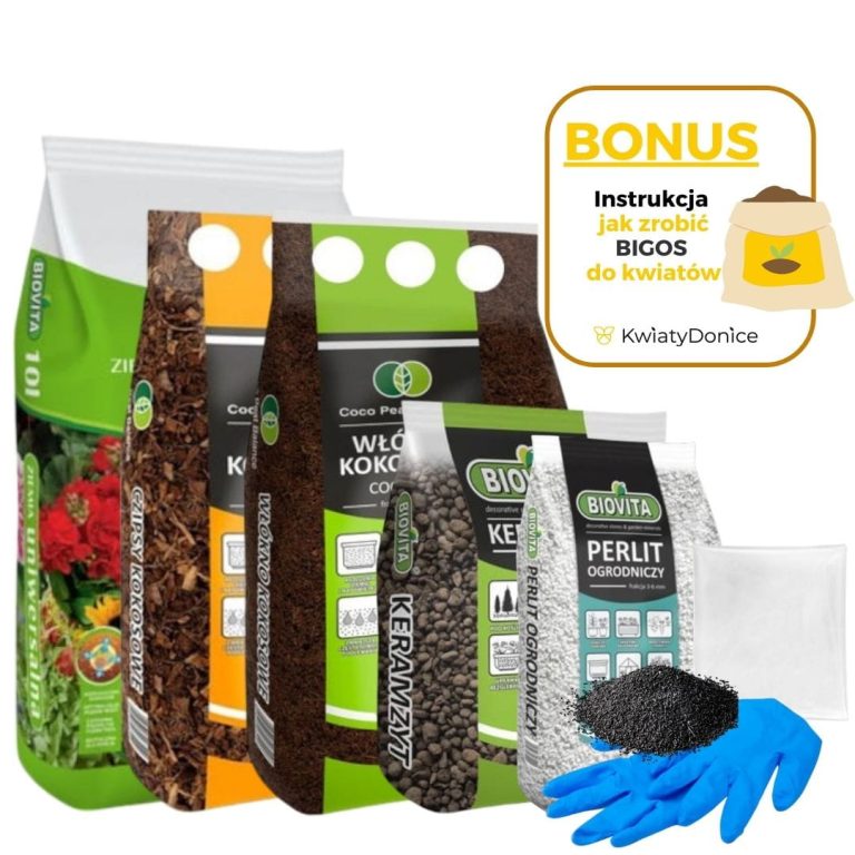 6w1 do BIGOSU - zestaw do mieszanki 'bigos' z ziemi