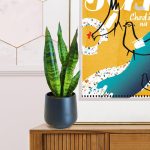 Sansewieria gwinejska (Sansevieria trifasciata 'Zelenica') 25cm