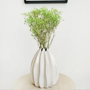 Gipsówka suszona zielona