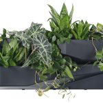 Ogród wertykalny wiszący zielona ściana modułowa