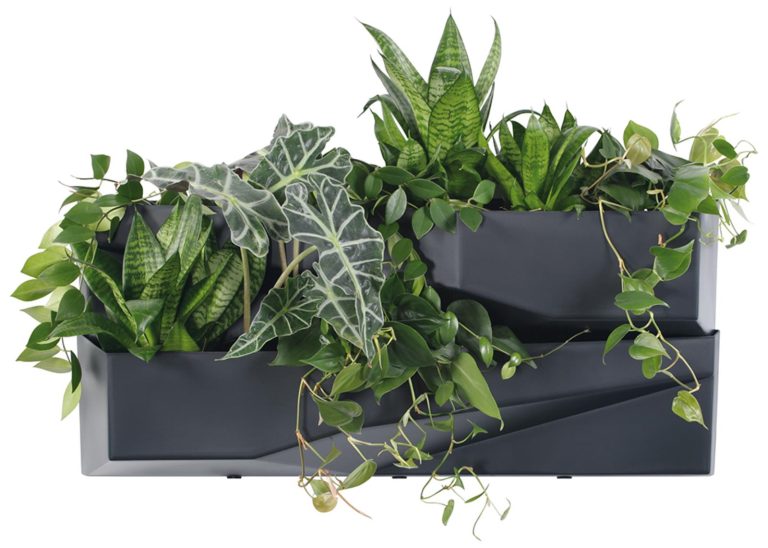 Ogród wertykalny wiszący zielona ściana modułowa