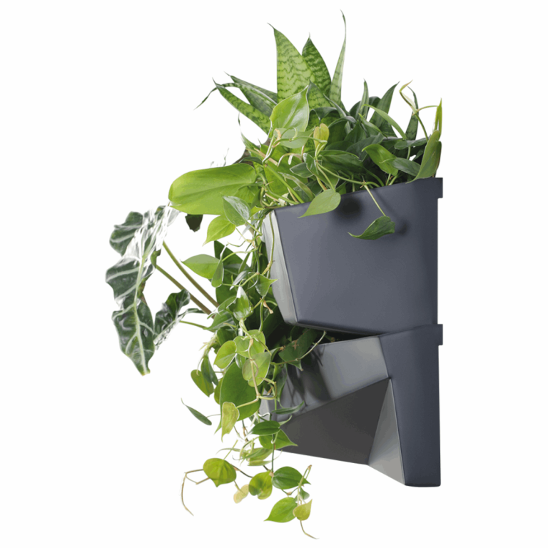 Ogród wertykalny wiszący zielona ściana modułowa