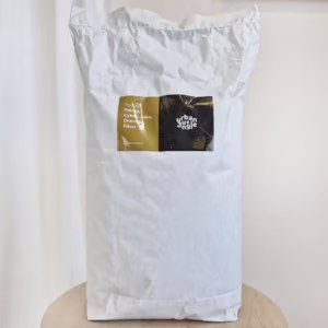 Ziemia do Palm, Cykasów, Juk, Dracen i Fikusów