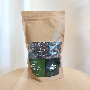 Ziemia do Zamiokulkasów, Hoyi i Peperomii