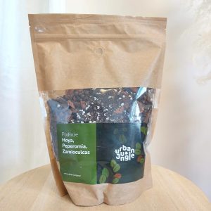 Ziemia do Zamiokulkasów, Hoyi i Peperomii