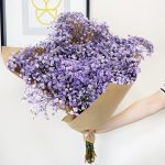 Gipsówka żywa gotowy bukiet fioletowy duży