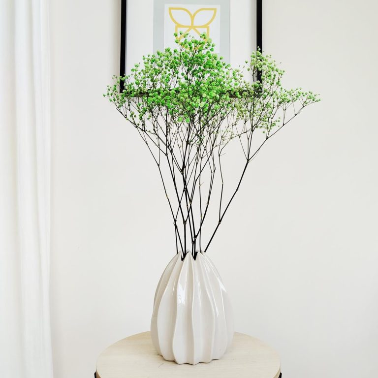 Gipsówka stabilizowana wiecznie żywa zielona mały bukiet