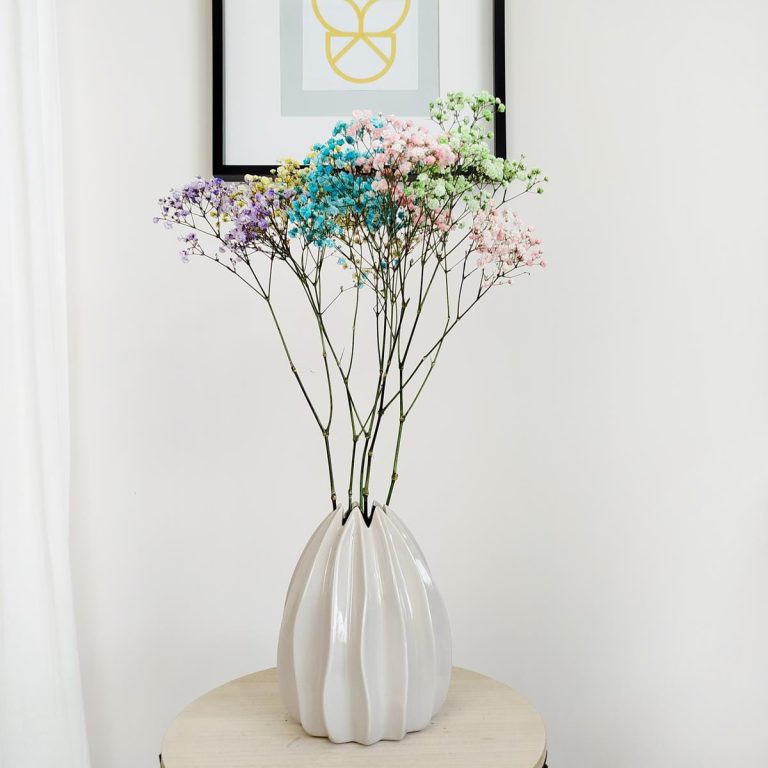 Gipsówka stabilizowana wiecznie żywa mix kolorów mały bukiet