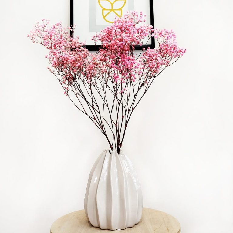 Gipsówka stabilizowana wiecznie żywa ciemno różowa mały bukiet