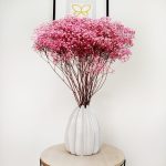 Gipsówka stabilizowana wiecznie żywa ciemno różowa duży bukiet