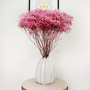 Gipsówka stabilizowana wiecznie żywa ciemno różowa duży bukiet