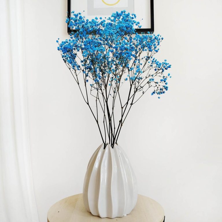 Gipsówka stabilizowana wiecznie żywa niebieska ciemna mały bukiet