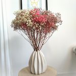 Gipsówka stabilizowana wiecznie żywa jesienny duży bukiet