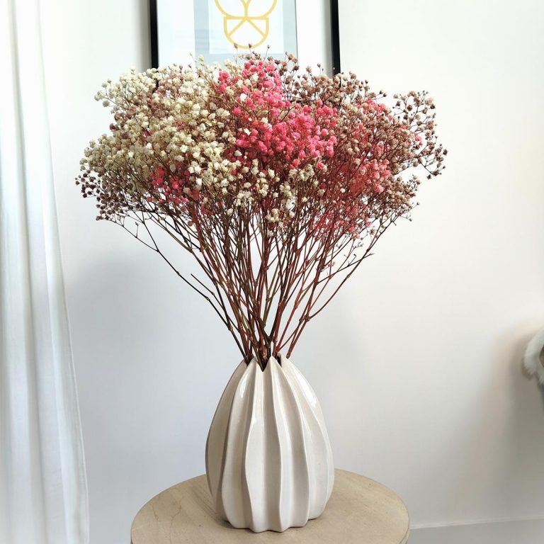 Gipsówka stabilizowana wiecznie żywa jesienny duży bukiet