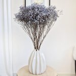 Gipsówka stabilizowana wiecznie żywa granatowa duży bukiet