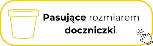 Pasujące doniczki