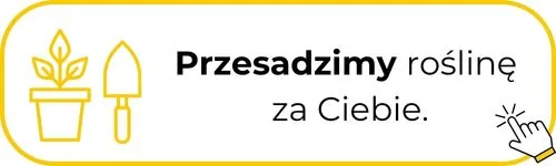 Przesadzanie