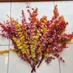 Eukaliptus stabilizowany wiecznie żywy bukiet mix kolorów