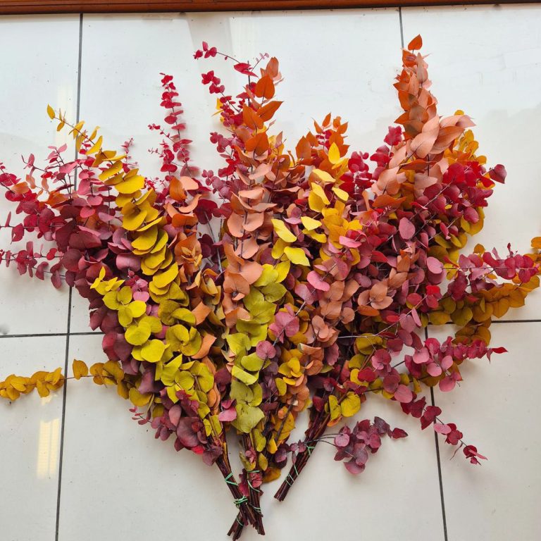 Eukaliptus stabilizowany wiecznie żywy bukiet mix kolorów