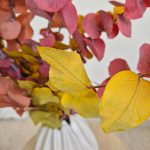 Eukaliptus stabilizowany wiecznie żywy bukiet mix kolorów