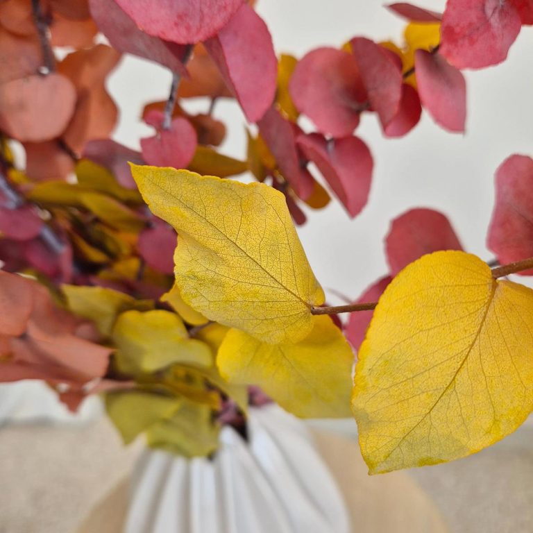 Eukaliptus stabilizowany wiecznie żywy bukiet mix kolorów