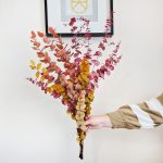 Eukaliptus stabilizowany wiecznie żywy bukiet mix kolorów