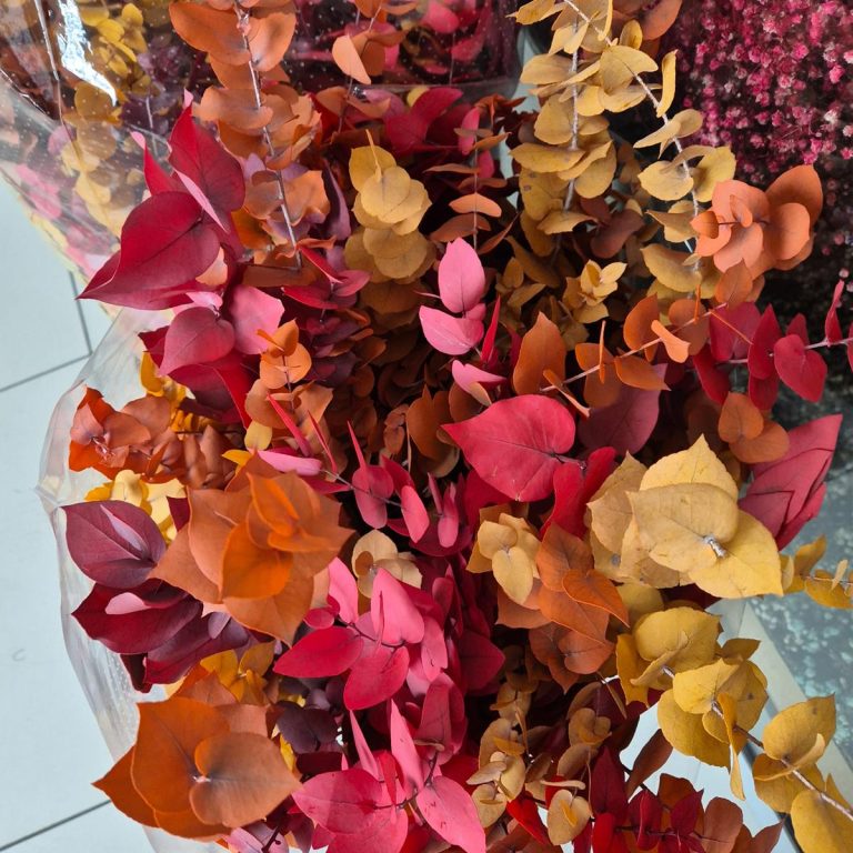 Eukaliptus stabilizowany wiecznie żywy bukiet mix kolorów