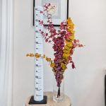 Eukaliptus stabilizowany wiecznie żywy bukiet mix kolorów