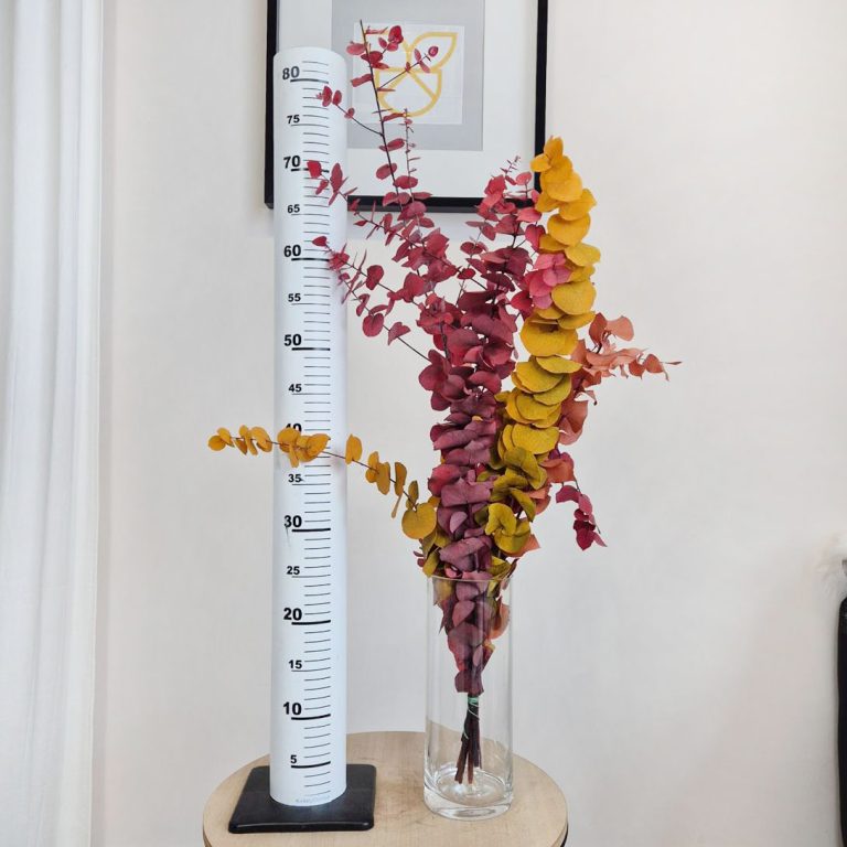 Eukaliptus stabilizowany wiecznie żywy bukiet mix kolorów